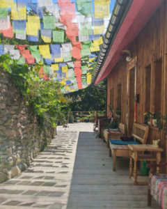 Drewniana ścieżka z ławką i kolorowymi flagami modlitewnymi zawieszonymi nad nią w otoczeniu roślinności.